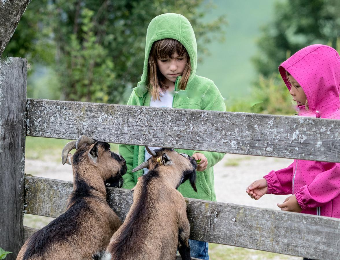 Christernhof Villa Maria Alm am Steinernen Meer Eksteriør bilde