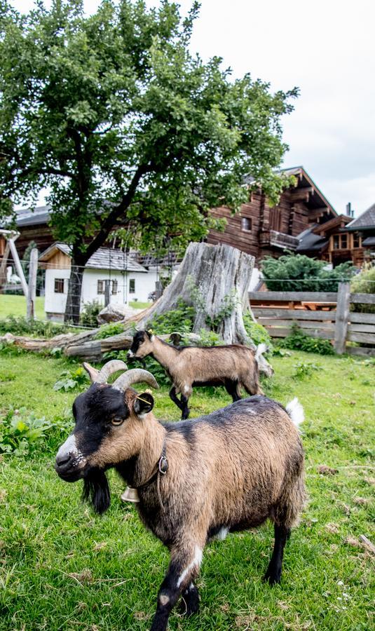 Christernhof Villa Maria Alm am Steinernen Meer Eksteriør bilde