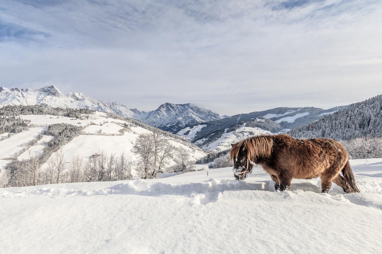 Christernhof Villa Maria Alm am Steinernen Meer Eksteriør bilde